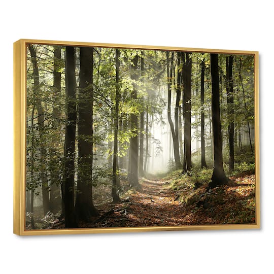 Designart - Green Fall Forest with Sun Rays
